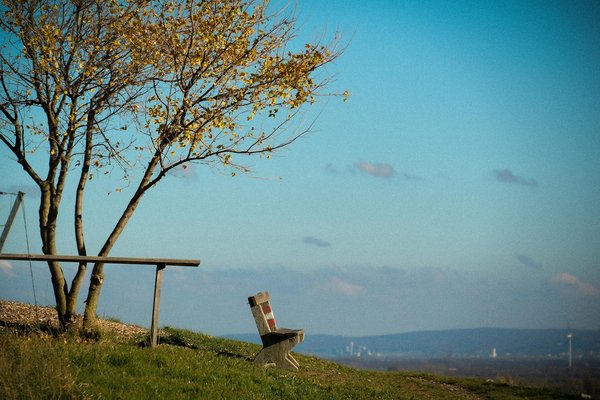 Qu'attendre de votre première séance de massothérapie ?